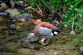 Dierentuin Emmen Mei 2014 03